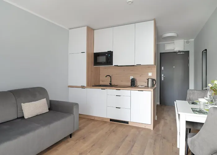 Jasny&elegancki Typu Z Tarasem By Renters *