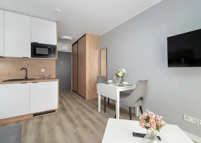 Jasny&elegancki Typu Z Tarasem By Renters Apartament *